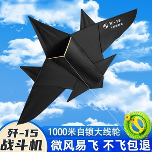 潍坊风筝飞机2024新款成人专用高档儿童微风易飞卡通黑战斗机大型