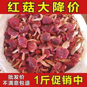 正宗福建野生红菇干货500g武夷山红姑香菇三明月子红蘑菇特级菌菇