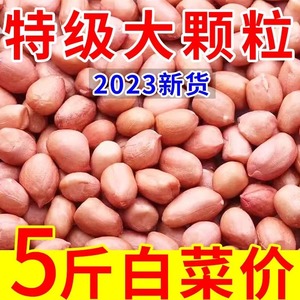 2023年新鲜花生米新货大颗粒白沙农家生花生米商用去散装壳花生仁