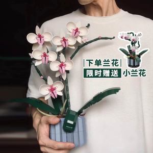 中国兰花花束积木永生花朵玫瑰拼装摆件模型成人女孩情人节礼物