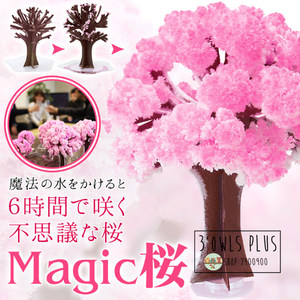 神奇纸树Magic Sakura神奇魔法樱花树 纸树上为什么会开花的纸树