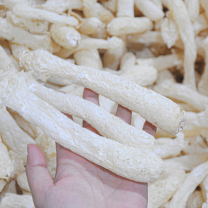 无裙竹荪干货特级野生250g毛重特产竹笙虾滑菌菇煲汤食材纯杆竹荪