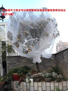 果树防虫网蔬菜植物防鸟网防虫网杨梅网罩全新料保用3年以上包邮