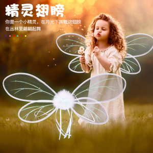 森系花仙子精灵翅膀透明成人儿童天使背饰道具小女孩背的cos蝴蝶