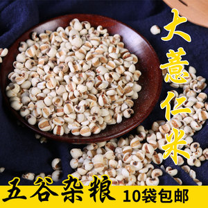 新货大薏仁米贵州特产薏仁米红豆茶原料薏苡仁米粗粮五谷杂粮250g