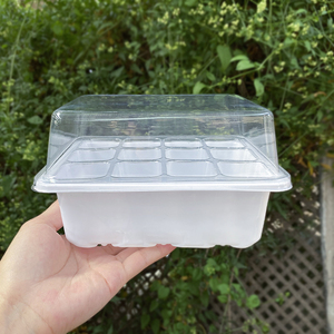 6孔 12孔 塑料育苗盒箱穴盘 育苗块保温保湿育苗钵培育盒闷养育种