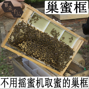 百朵千丛中蜂250克巢蜜框架塑料格养蜂工具不用摇蜜机取蜜的巢框