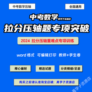 2024新中考数学复习拉分压轴题重难点专题专项突破训练Word电子版