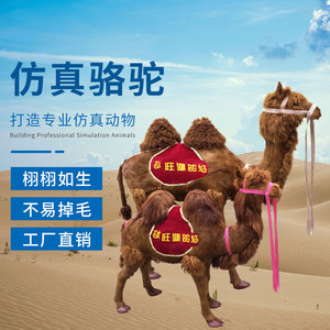 仿真骆驼动物模型大型骆驼景观摆件展览教学道具工艺品动物标本