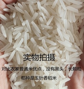 富硒含硒恩施长粒农家香米不抛光打蜡原生态大米湖南玉针香稻