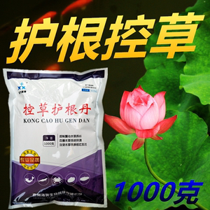 小龙虾河蟹塘水草控草灵控草丹控伊乐草轮叶黑藻护草颗粒矮壮素