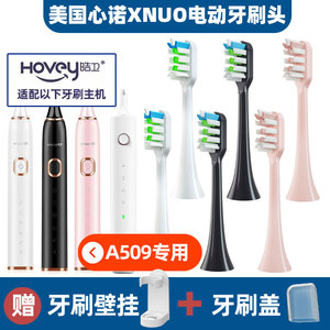 适配美国心诺xnuo电动牙刷头A509/AX08通用牙刷刷头YS01
