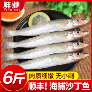 沙丁鱼深海鱼新鲜冷冻小银鱼鲜活海鲜水产烧烤食材面条鱼无小刺
