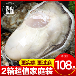 乳山生蚝鲜活10斤特大带箱新鲜海蛎子超大牡蛎海鲜水产批发5斤2箱