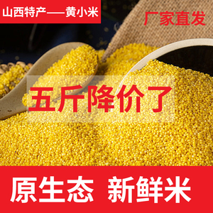 山西黄小米5斤 新米米脂小米杂粮农家食用糯小米粥小黄米真空包装