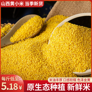 山西黄小米5斤 新米米脂丰厚小米杂粮农家食用糯小米粥小黄米真空