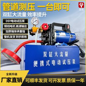 手提式电动试压泵DSY-25/60纯铜打压机水管道试压机双缸打压泵