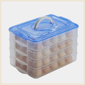 装鸡蛋的盒子防摔放鸡蛋的收纳盒冰箱保鲜蛋托蛋架塑料家用蛋格