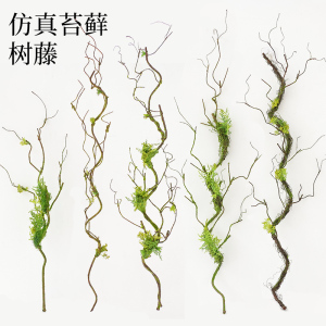 仿真树藤枯藤藤条假花装饰树枝干枝青苔苔藓室内藤蔓植物壁挂绿植