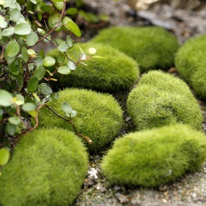 苔藓微景观创意仿真植物假石头小摆件多肉盆栽造景假草坪装饰配件