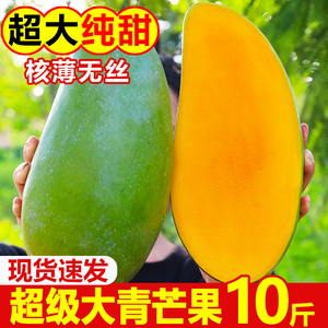 芒果大青芒10斤青皮金煌芒果新鲜当季整箱热带越南水果攀枝花芒果