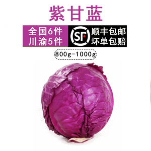 蔬菜新鲜包邮紫甘蓝紫包菜紫色红椰菜西餐生菜沙拉食材 800~1000g