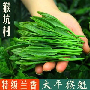2024新茶上市正宗太平猴魁特级兰香猴坑村开园头采手工捏尖绿茶叶