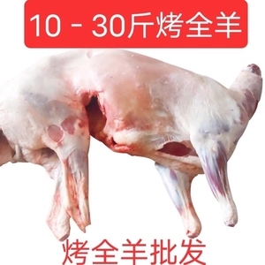 新鲜内蒙全羊白条羊烤全羊羔羊整羊鲜羊肉羊排羊腿羊蝎子10-31斤