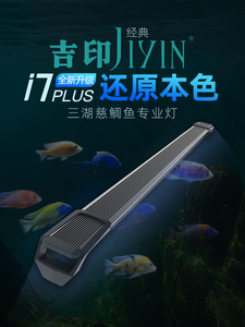 吉印i7plus 三湖慈鲷鱼灯观赏鱼专用发色蓝色增艳专业防水led灯