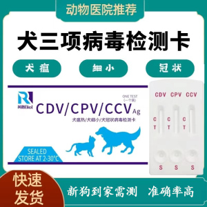 犬瘟细小冠状试纸快速检测卡CDV犬瘟测试纸CPV CCV幼犬狗瘟检测卡