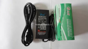 甩甩瘦甩脂机变压器 瘦身腰带用24V充电器 DC 24V 2.0A 2A