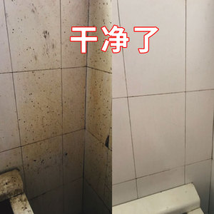 瓷砖清洁剂洗地板强力去污外墙除垢家用卫生间浴缸厕所马桶清洗剂