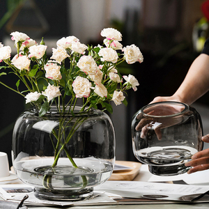 茉澈简约现代圆形大口花瓶透明水养鲜花插花客厅餐桌玻璃加厚摆件