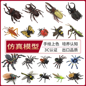 儿童认知仿真昆虫模型节肢动物实心蜘蛛玩具模型螳螂甲虫蝴蝶摆件