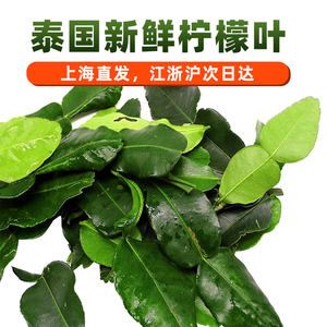 汶上柠檬叶