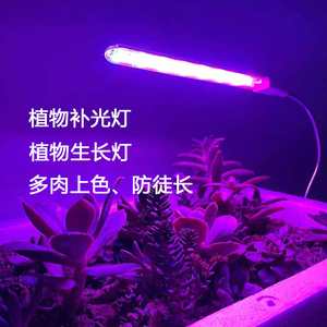 植物补光灯生长灯多肉上色助长全光谱led灯USB长条灯管家用植物灯