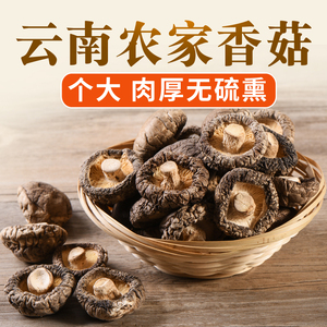 云南农家香菇 特产干货食用菌菇个大肉厚500克（250克X2袋）A级货