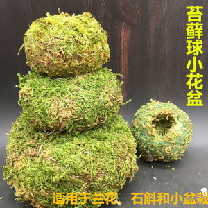 日式苔藓球个性创意花盆植物苔藓球花器青苔球石斛兰花阴生种植盆