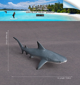 403-1126仿真野生海洋鲨鱼动物白鳍鲨模型灰鲸鲨儿童实心塑料玩具