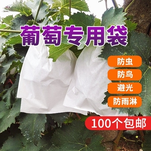 葡萄套袋葡萄专用防虫防鸟袋子水果保护袋包葡萄用纸袋葡萄防水袋