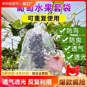 水果套袋防鸟防虫专用袋西红柿番茄葡萄草莓无花果网套袋保护袋子