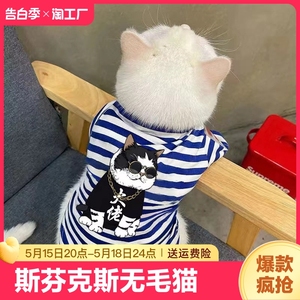 宠物衣服春夏季新款猫咪小型犬幼犬蓝猫泰迪比熊防掉毛透气薄款装