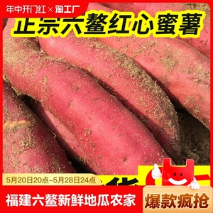 福建六鳌红薯新鲜红心地瓜番薯农家自种沙地糖心蜜薯小山芋蔬菜10