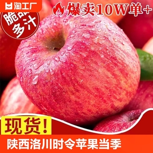 华圣陕西洛川红富士时令苹果当季精品新鲜水果冰糖心脆甜产地直发