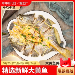 大黄鱼黄花鱼鲞新鲜冷冻海鲜小黄鱼非黄鱼干货特大您的黄瓜鱼水产