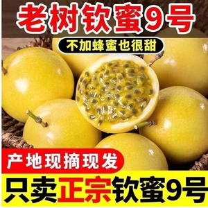 广西钦蜜9号黄金百香果5斤新鲜水果当季整箱百香果1斤包邮原浆