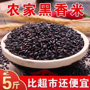东北黑龙江五常特产农家黑米新米1斤小袋杂粮粗粮500g黑大米家用