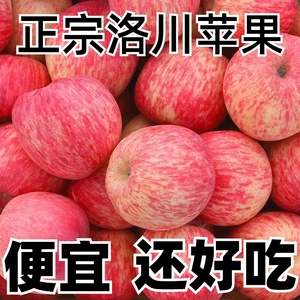 陕西正宗洛川红富士苹果10斤包邮新鲜脆甜当季整箱水果冰糖心5斤