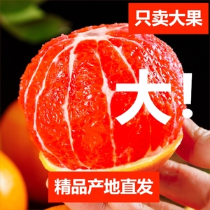 宜昌秭归血橙新鲜水果当季生鲜现摘精品大果产地直发礼盒
