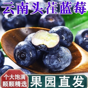 【颗颗爆汁】云南花香蓝莓鲜果单盒125g新鲜当季水果皇后宝宝辅食
